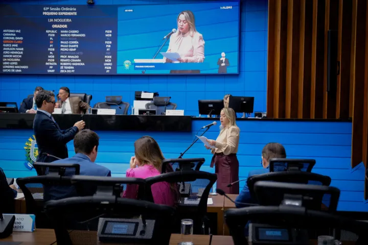 Guaçulândia recebe iluminação na MS-475 após pedido de Lia Nogueira