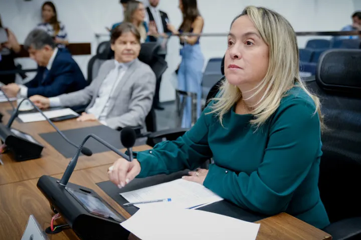 Lia propõe mudança na Lei da Alienação Parental