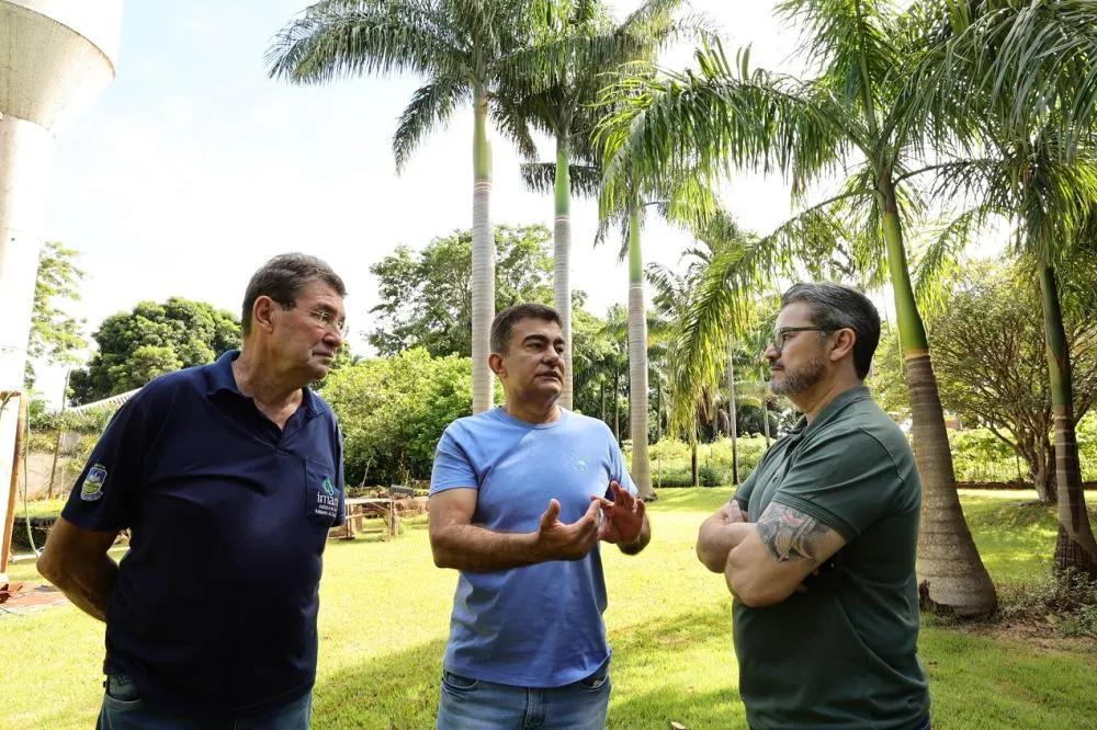 Viveiro Municipal fortalece plano de arborização e garante replantio de árvores em Dourados