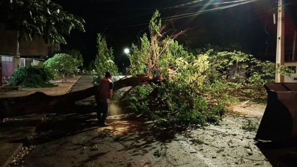 Prefeitura mobiliza força-tarefa após temporal causar estragos em Dourados