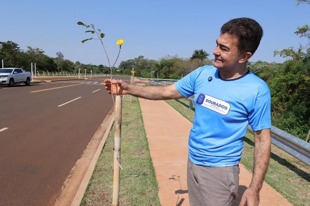 Prefeito Marçal Filho destaca que o plantio de ipês e frutíferas na avenida tornará o local um dos cartões postais de Dourados – Fotos: A. Frota